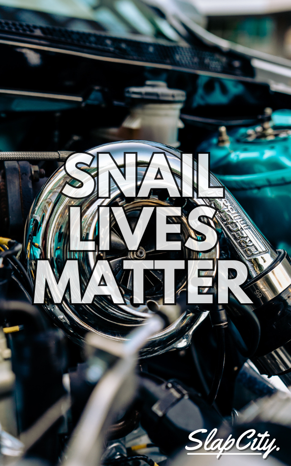 Snail lives matter