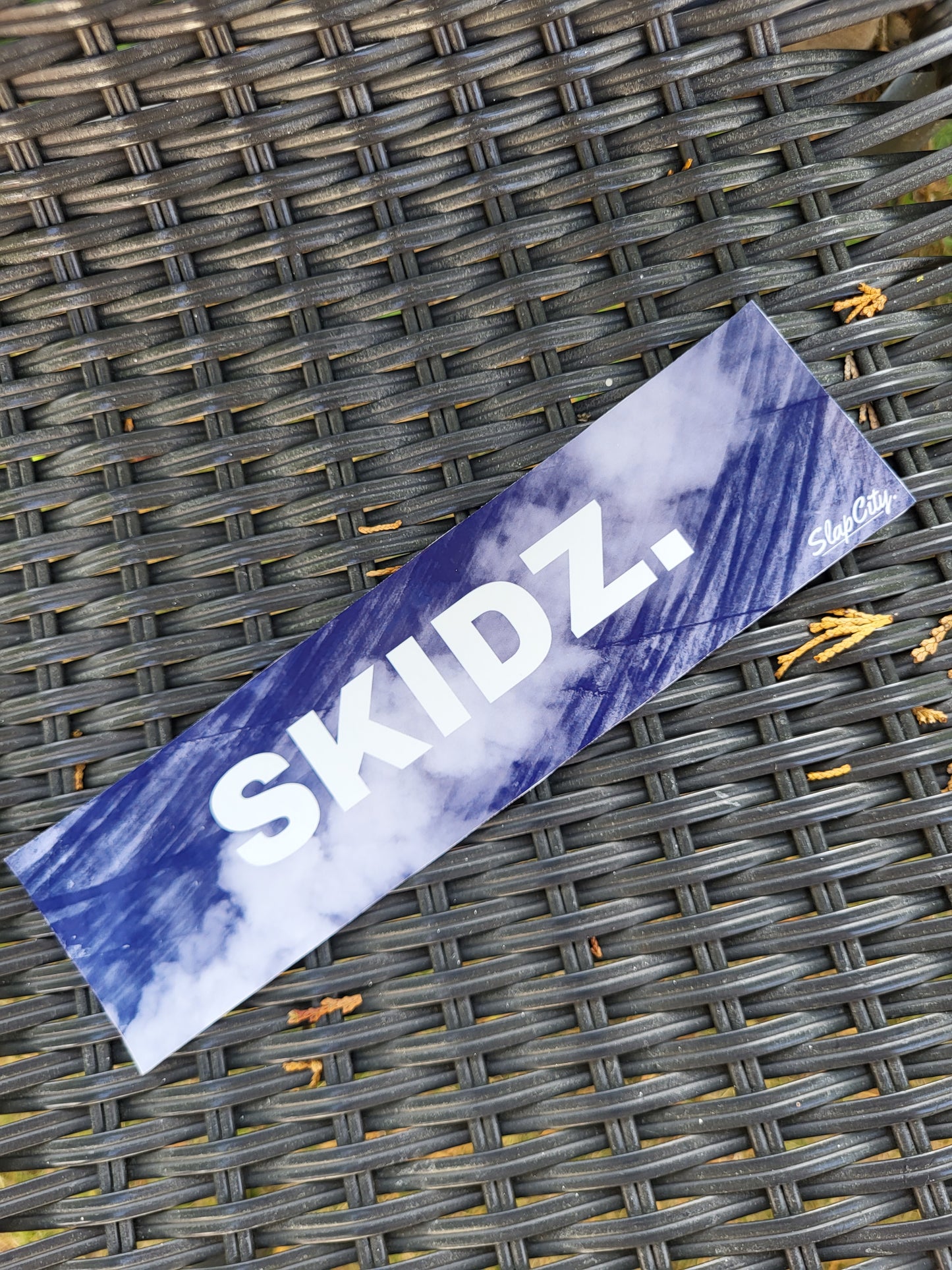 SKIDZ