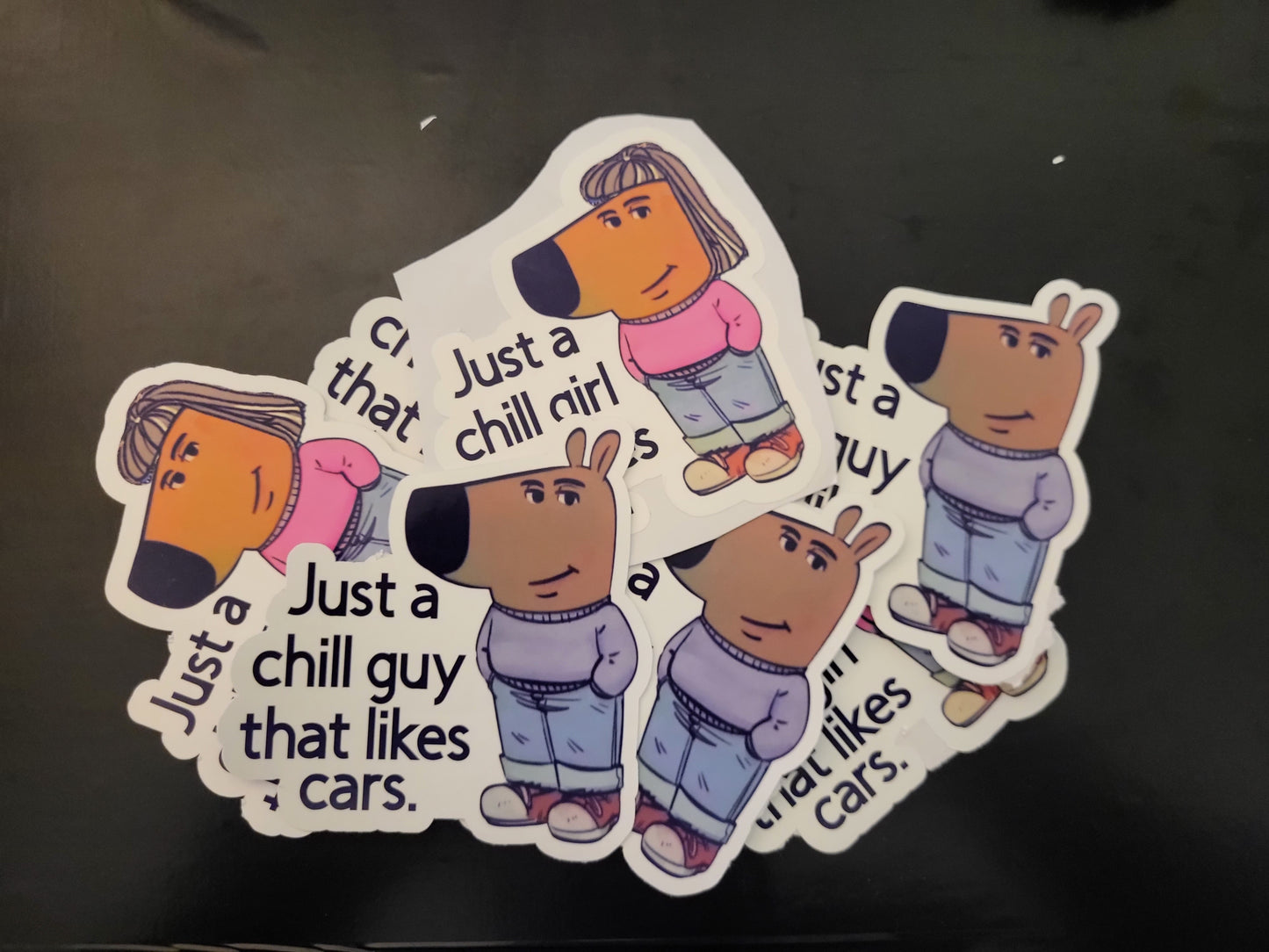 Chill Guy/Girl