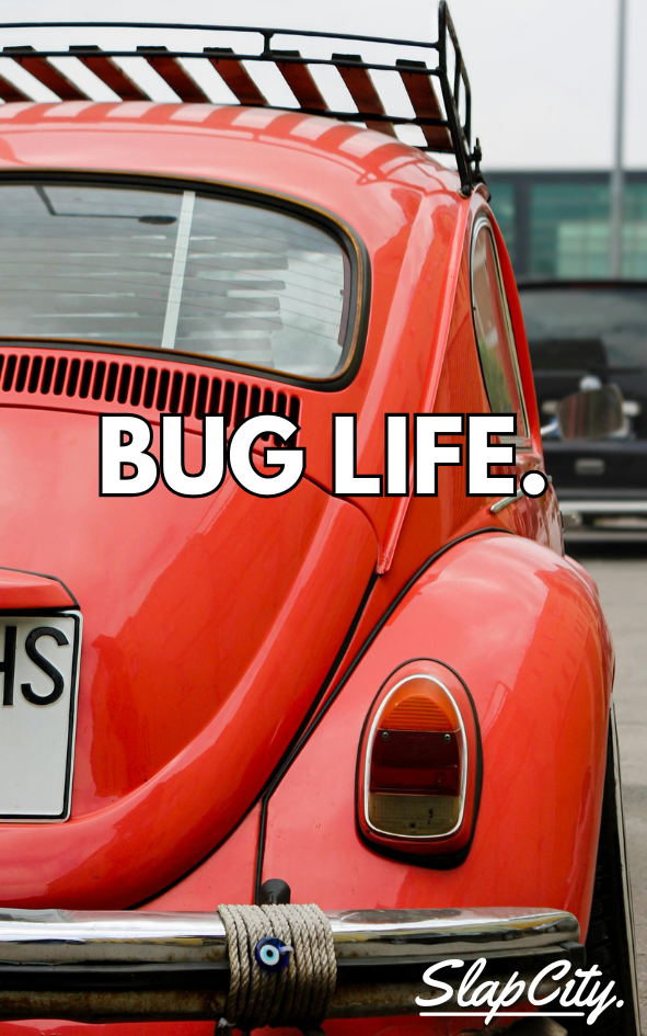 Bug Life